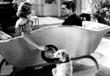 Test Blu-ray + DVD : Cette sacrée vérité