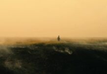 Les sorties du 30 août 2023