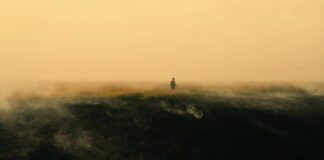 Les sorties du 30 août 2023