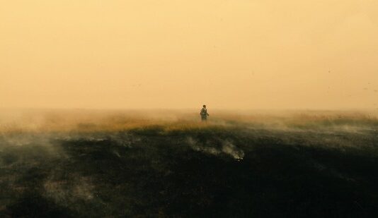 Les sorties du 30 août 2023