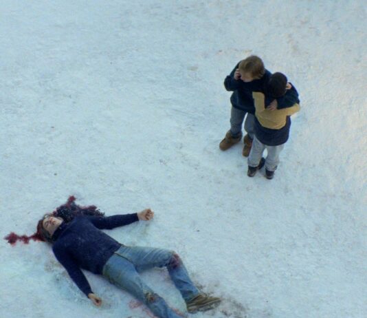 Critique : Anatomie d’une chute