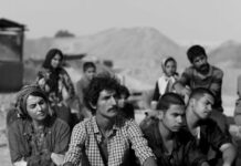 Critique : The wasteland