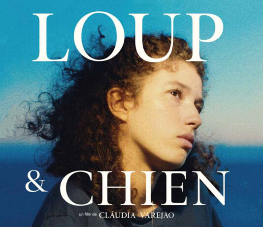 Test DVD : Loup & chien