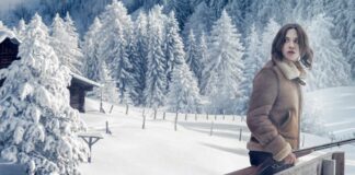 Test DVD : Seule – Les Dossiers Silvercloud