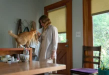 Test DVD : Showing up