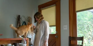 Test DVD : Showing up