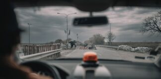 Les sorties du 8 novembre 2023