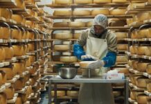 Les sorties du 20 décembre 2023