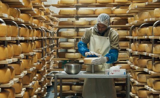 Les sorties du 20 décembre 2023