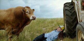 Critique Express : 5 hectares