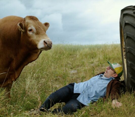 Critique Express : 5 hectares