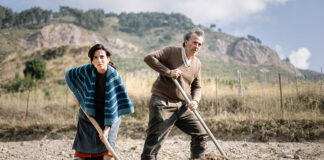 Critique : Primadonna