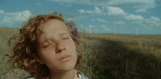 Les sorties du 24 janvier 2024