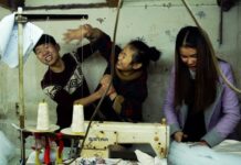 Les sorties du 3 janvier 2024