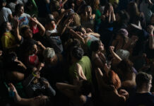 Test DVD : La Bête dans la Jungle