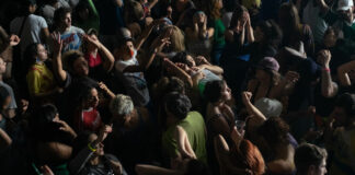 Test DVD : La Bête dans la Jungle