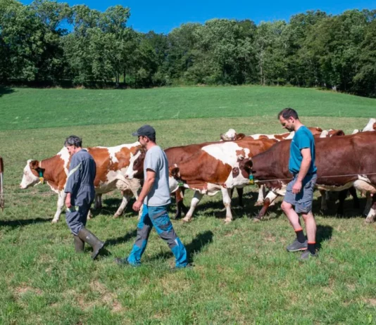 Critique Express : La ferme des Bertrand