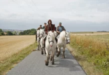 Critique : L’Empire