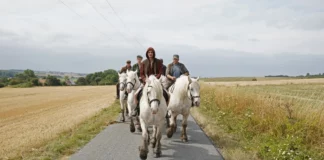 Critique : L’Empire