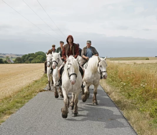 Critique : L’Empire