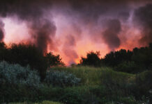 Test DVD : Le Ciel rouge