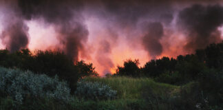 Test DVD : Le Ciel rouge