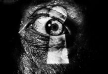 Test Blu-ray 4K Ultra HD : Le Voyeur