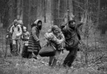 Critique : Green Border