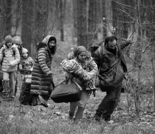 Critique : Green Border