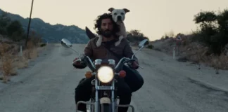 Critique Express : Nuit noire en Anatolie