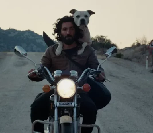 Critique Express : Nuit noire en Anatolie