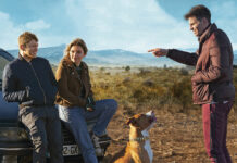 Test Blu-ray : Chien de la casse