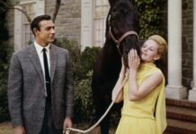 Critique : Pas de printemps pour Marnie