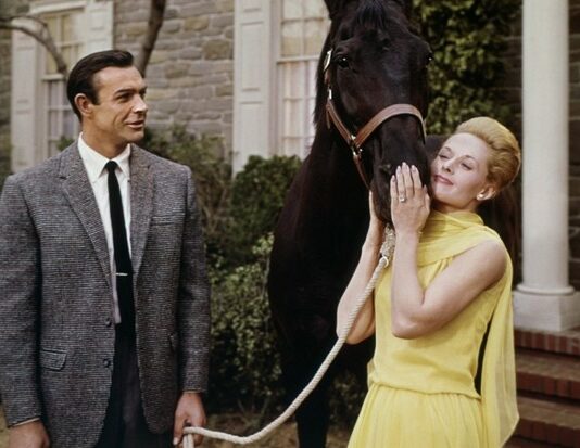 Critique : Pas de printemps pour Marnie