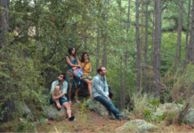 Critique : Los delincuentes