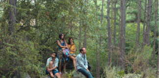 Critique : Los delincuentes