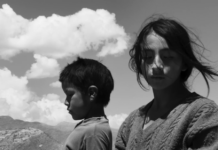 Critique : Diógenes