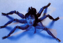 Test Blu-ray : Hiruko the Goblin