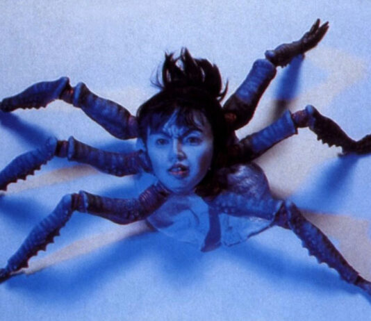 Test Blu-ray : Hiruko the Goblin