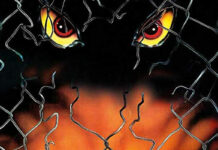 Test Blu-ray : Les Rats attaquent