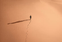 Test DVD : Moi Capitaine