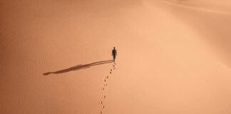 Test DVD : Moi Capitaine