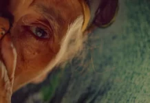 Critique : La Mère de tous les mensonges