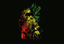 Test Blu-ray 4K Ultra HD : Bob Marley – One Love