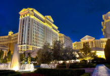 TOP 5 des meilleurs films tournés à Las Vegas