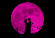 Test DVD : Lisa Frankenstein