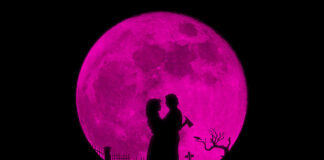 Test DVD : Lisa Frankenstein