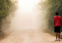 Les sorties du 7 août 2024