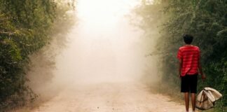 Les sorties du 7 août 2024