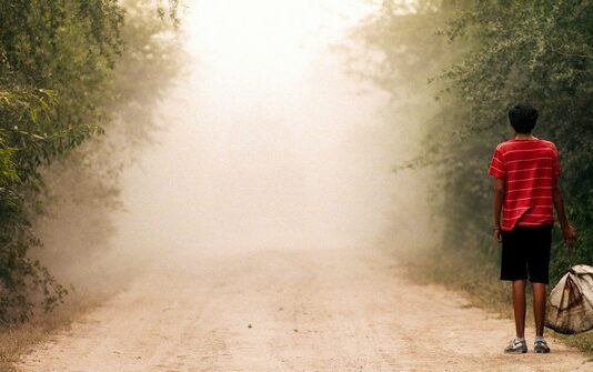 Les sorties du 7 août 2024